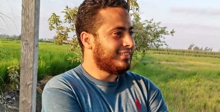 مرونه و صلابه