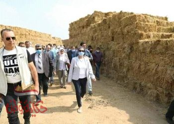 الفؤاد” تتفقد عدد من مواقع قش الأرز بالشرقية