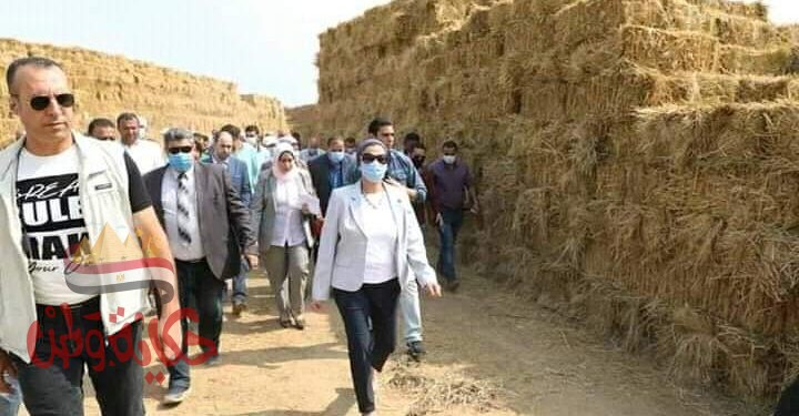 الفؤاد” تتفقد عدد من مواقع قش الأرز بالشرقية