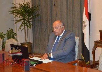 شكري” يؤكد على دعم مصر لجهود تعزيز التعاون الجنوب جنوب.