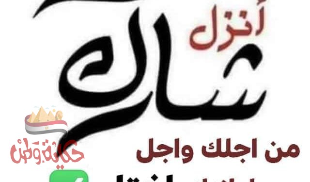 اخي الناخب. اختي الناخبة.