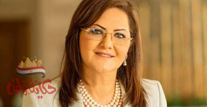 السعيد”قرارً بتأسيس صندوق فرعي للخدمات المالية والتحول الرقمي