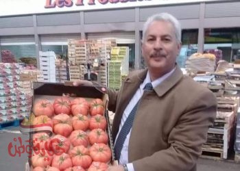 نقابة الفلاحين: أسعار الطماطم ستشهد إرتفاع خلال الأيام القليله القادمه