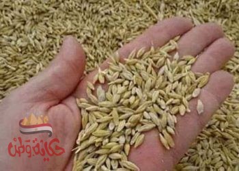 هرمون السعادة