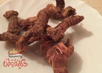 فوائد الخلنجان