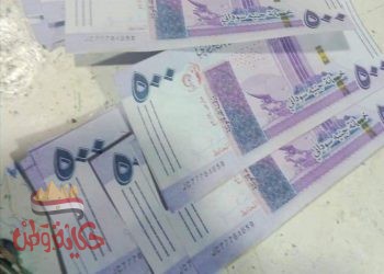 الجنيه السودانى يتهاوى أمام الدولار