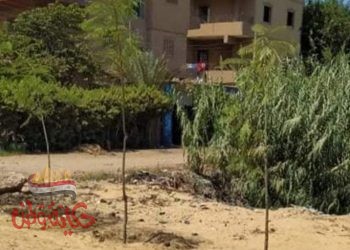 القضاء علي بؤر القمامة في المنوفية