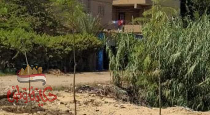 القضاء علي بؤر القمامة في المنوفية