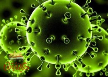 الإمارات تسجل إحصائية جديدة لإصابات ووفيات كورونا