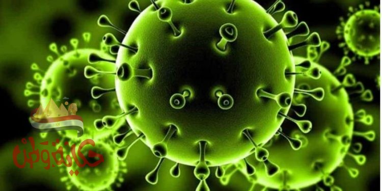 الإمارات تسجل إحصائية جديدة لإصابات ووفيات كورونا