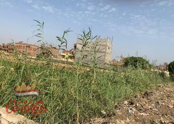 سرقة وإعتداء في طريق البحر الاعظم بمدينة الفشن