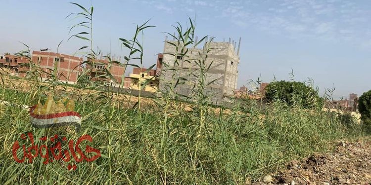 سرقة وإعتداء في طريق البحر الاعظم بمدينة الفشن