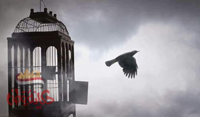 إن عاد الزمان.