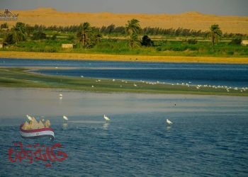 برتوكول تعاون لاحياء حفلات شهريه لاوركسترا الحياه على بحيره قارون الساحره