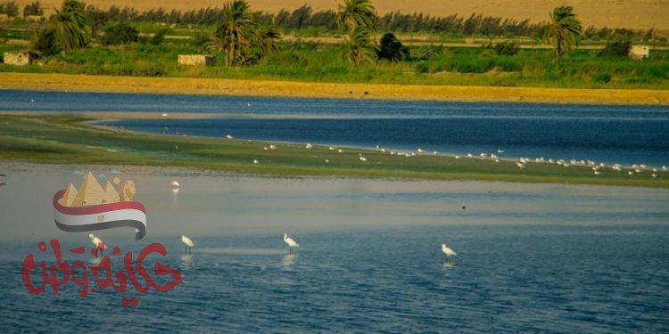 برتوكول تعاون لاحياء حفلات شهريه لاوركسترا الحياه على بحيره قارون الساحره