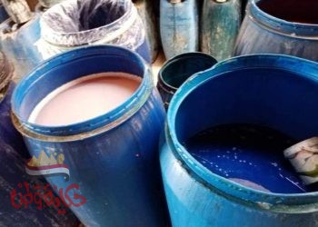 المنوفية : ضبط مصنع منظفات ومصنع حلويات بدون ترخيص دواجن مجمدة و لحوم غير صالحة