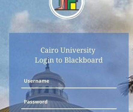 تدريب أعضاء هيئة التدريس بجامعة القاهرة على استخدام المنصة التعليمية الذكية Smart CU