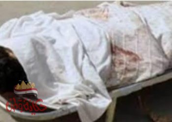 نيابة منوف : 15 يوما على ذمة التحقيقات لقاتلي شقيقهم