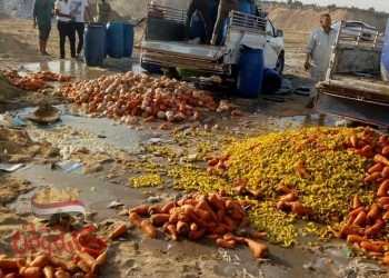 إعدام أكثر من ٢.٥ طن أغذية فاسدة وغلق ٤ منشآت غذائية غير مرخصة بالزقازيق والحسينية