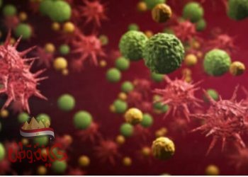 دراسة عمرها 35 عاما تلمح إلى أن مناعة فيروس كورونا قد لا تدوم طويلا!