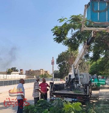 رئيس مدينة المحمودية يتابع قص وتقليم للأشجار المرتفعة ومراجعة أسلاك الكهرباء