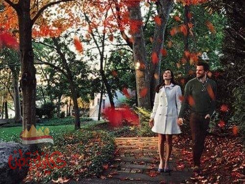 املئوا بالحب قلوبكم