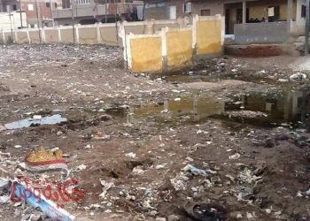 نداء الي السيد الدكتور أشرف صبحي وزير الشباب والرياضه وراعي الرياضه في مصر