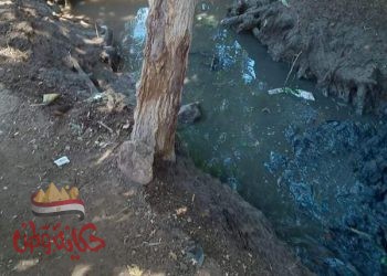 زراعة المنوفية : تطهير المساقي الخصوصية للمحافظة علي مياه النيل