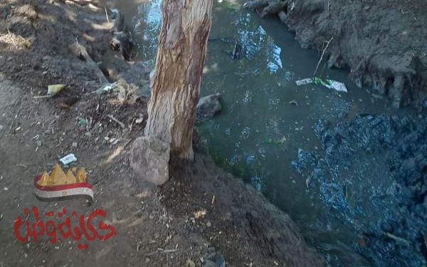 زراعة المنوفية : تطهير المساقي الخصوصية للمحافظة علي مياه النيل