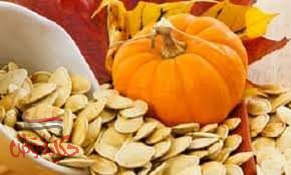 ثمرة القرع .لب اليقطين .بذر القرع . البذر الأبيض. تعرفو على فوائده الغنية جداً