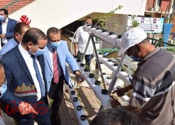 جامعة سوهاج تفتتح نموذج لزراعة الأسطح بتكلفة 5000 جنيه