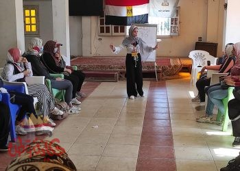 انطلاق فاعليات تدريب مبادرة لا للتحرش بمراكز شباب كفر الشيخ بالتعاون مع الأمم المتحدة