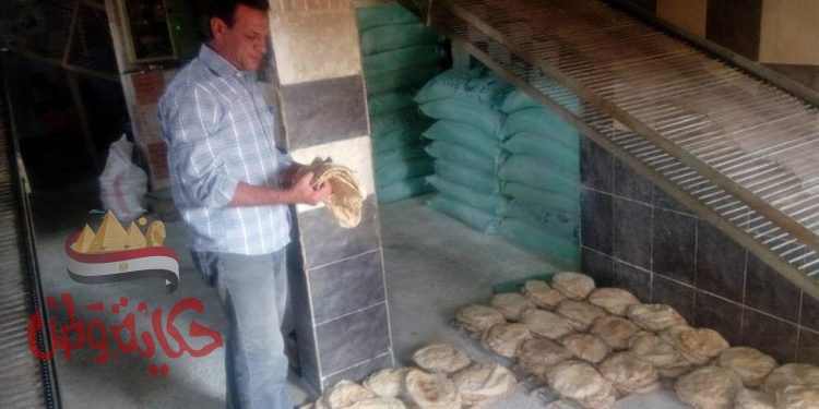 التموين والرقابة الإدارية لضبط المخالفات بمطروح