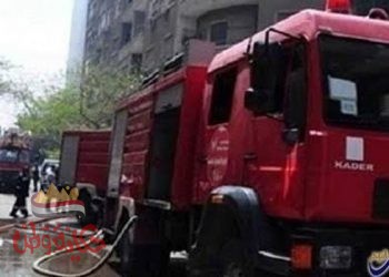 الشرقية : الحماية المدنية تنقذ قطة من الموت بعد احتجازها بالطابق الثامن