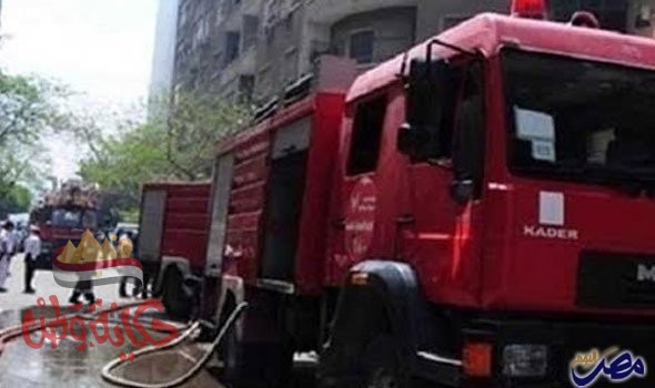 الشرقية : الحماية المدنية تنقذ قطة من الموت بعد احتجازها بالطابق الثامن