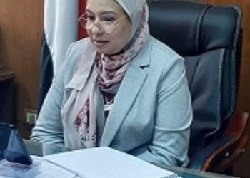 عميد ألسن عين شمس تشارك في فعاليات “مستقبل اللغة العربية في الجامعات الصينية” عبر تقنية الفيديو كونفرانس