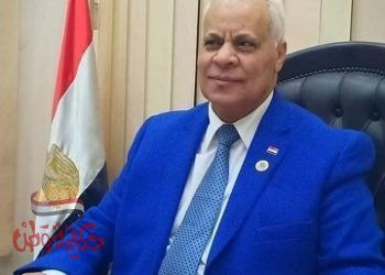 التيار الوطني المصري