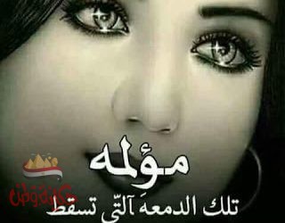 هل تشرق الشمس