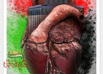 كلنا للوطن وكلنا فلسطين