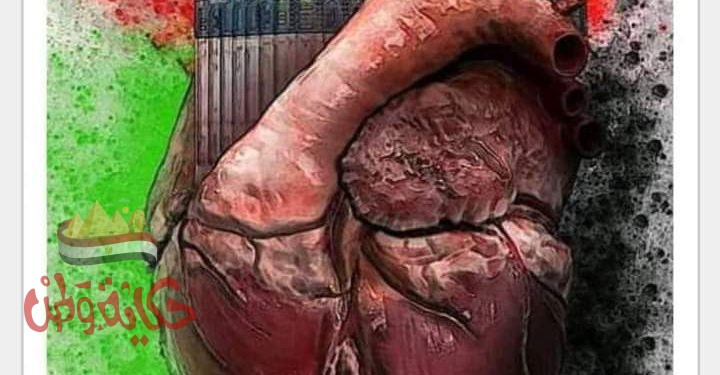 كلنا للوطن وكلنا فلسطين