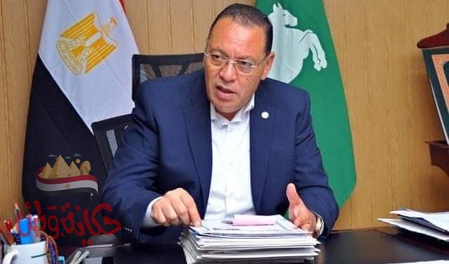 حملة تفتيشية بنطاق مدينة صان الحجر  ضبط 3 آلاف لتر سولار داخل محطة وقود تعمل بدون ترخيص 