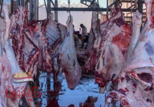 الطب البيطري : حملات يومية بأسواق ومجازر الماشية والدواجن