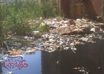 بالصور عمارات الإسكان بالمغاربه بجرجا