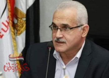 معنى التحالف الانتخابى