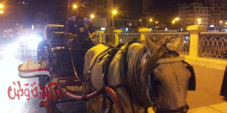 إنفراد .. رخصه ركوب عربه حنتور (حنطور) بحصان واحد سنه 1909 م