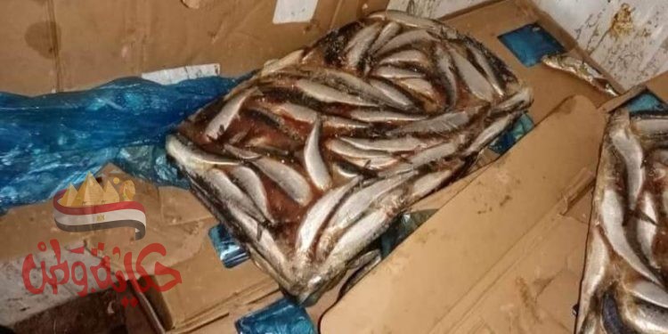 المنوفية : أطنان مواد غذائية مجهولة المصدر ولحوم مجمدة غير صالحة للإستهلاك الأدمى