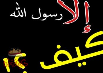 إلا رسول الله – جملة فيها نظر