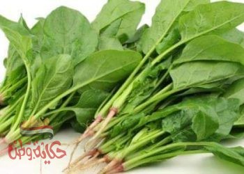الأوراق السحرية ( السبانخ )
