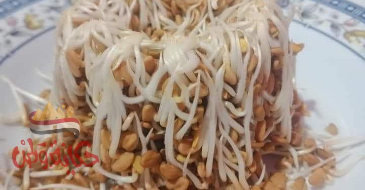 فوائد الحلبة المستنبتة