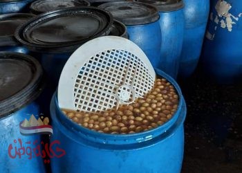 وكيل وزارة التموين يشن هجوما على مصنع الملكة بميت غزال مركز السنطة غربيه